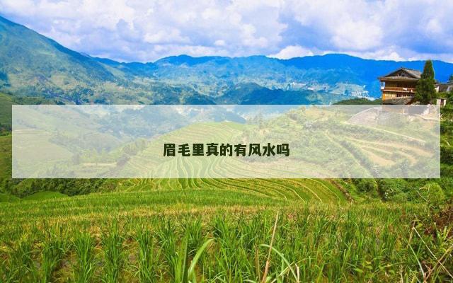 眉毛里真的有风水吗