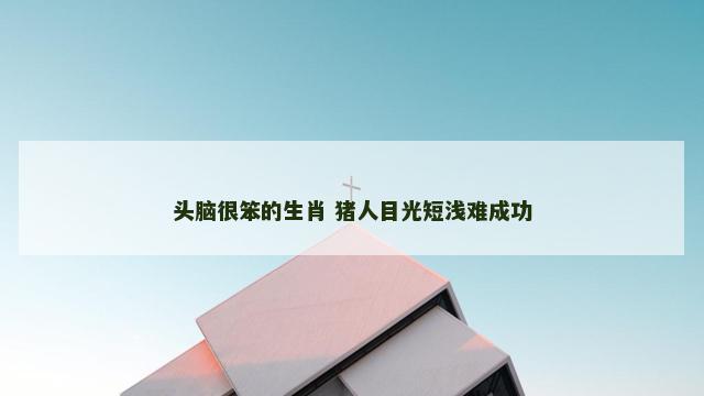 头脑很笨的生肖 猪人目光短浅难成功