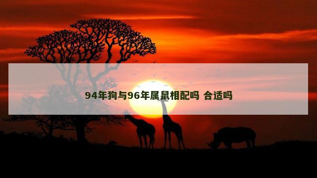 94年狗与96年属鼠相配吗 合适吗