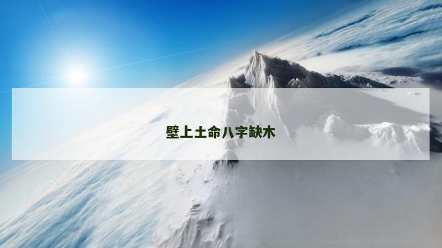 壁上土命八字缺木