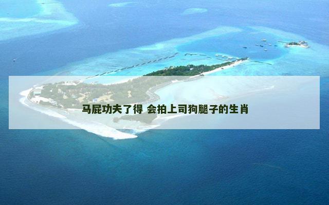 马屁功夫了得 会拍上司狗腿子的生肖