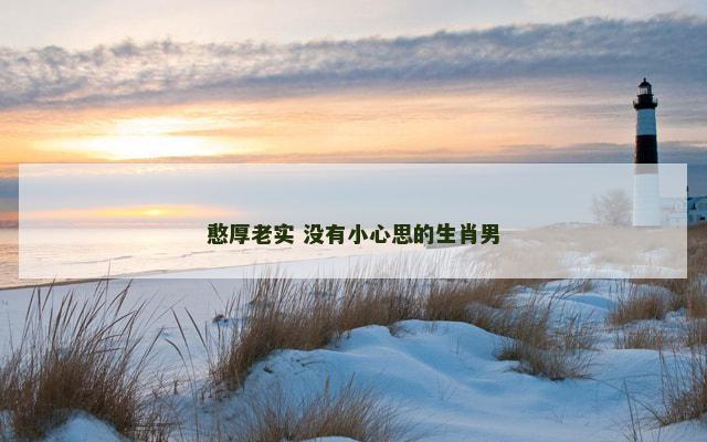 憨厚老实 没有小心思的生肖男