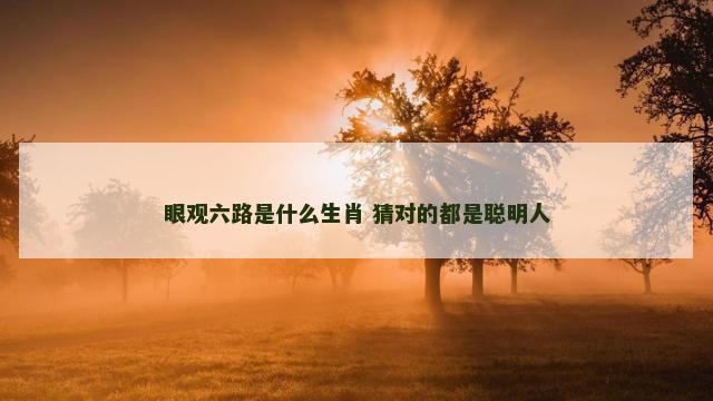 眼观六路是什么生肖 猜对的都是聪明人