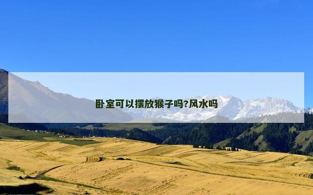 卧室可以摆放猴子吗?风水吗