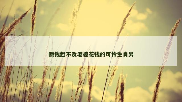 赚钱赶不及老婆花钱的可怜生肖男