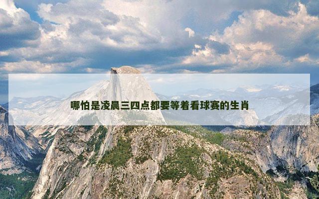 哪怕是凌晨三四点都要等着看球赛的生肖