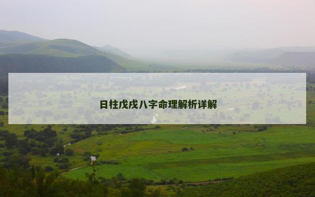 日柱戊戌八字命理解析详解