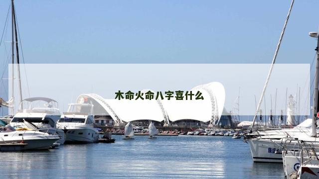 木命火命八字喜什么