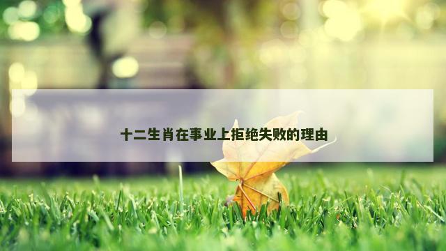 十二生肖在事业上拒绝失败的理由