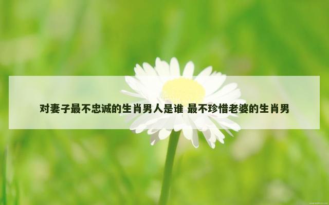 对妻子最不忠诚的生肖男人是谁 最不珍惜老婆的生肖男