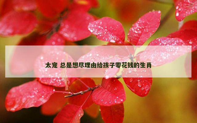 太宠 总是想尽理由给孩子零花钱的生肖