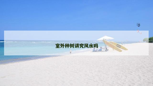 室外种树讲究风水吗