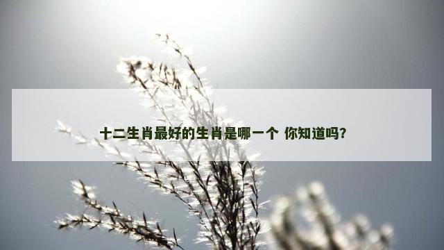 十二生肖最好的生肖是哪一个 你知道吗？
