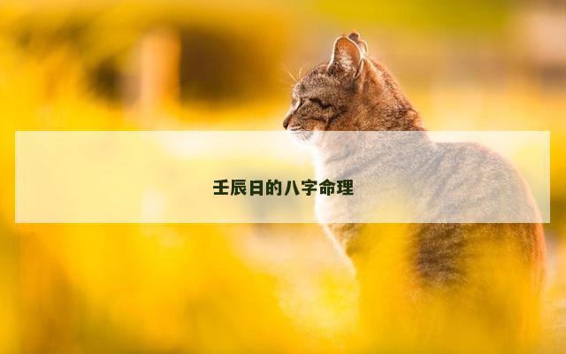 壬辰日的八字命理