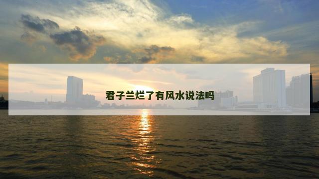 君子兰烂了有风水说法吗
