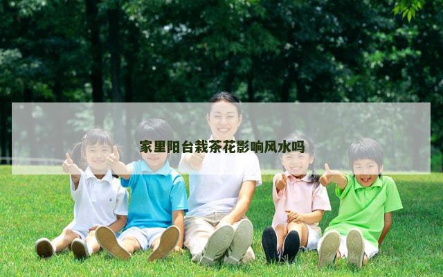 家里阳台栽茶花影响风水吗