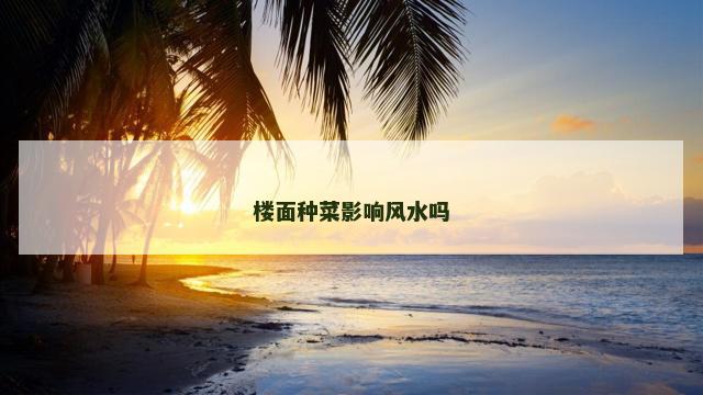 楼面种菜影响风水吗