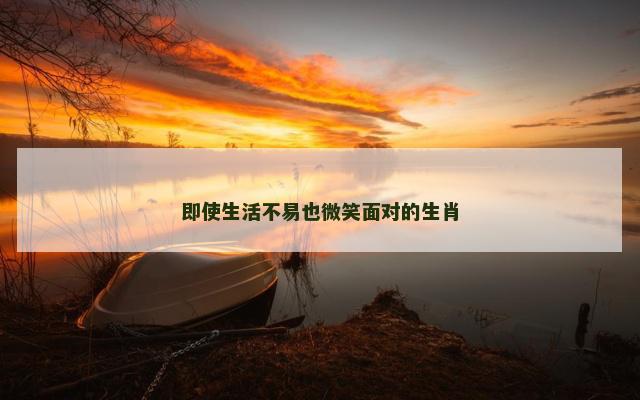 即使生活不易也微笑面对的生肖