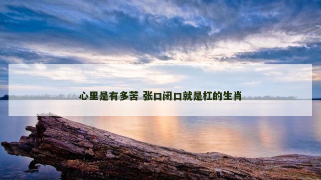 心里是有多苦 张口闭口就是杠的生肖