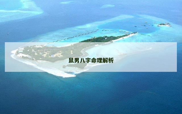 鼠男八字命理解析