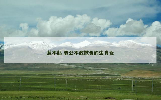 惹不起 老公不敢欺负的生肖女