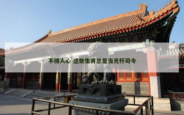 不得人心 这些生肖总是当光杆司令