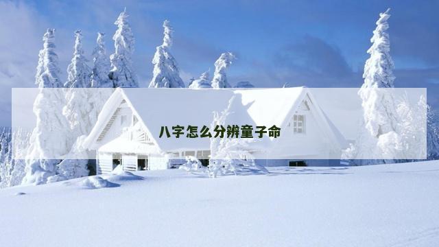 八字怎么分辨童子命