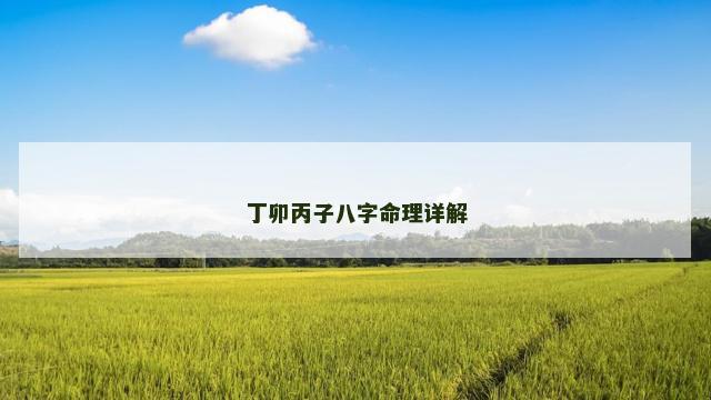 丁卯丙子八字命理详解