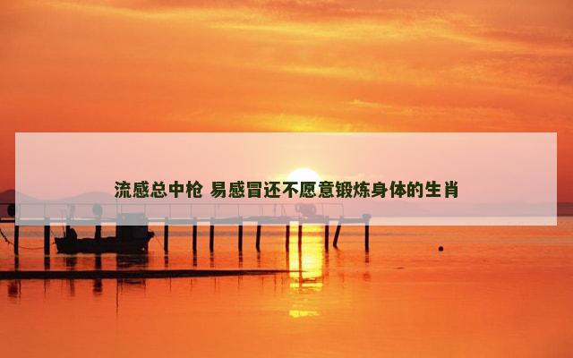 流感总中枪 易感冒还不愿意锻炼身体的生肖