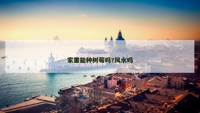 家里能种树莓吗?风水吗