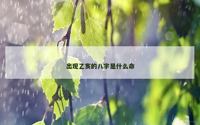 出现乙亥的八字是什么命