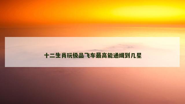 十二生肖玩极品飞车最高能通缉到几星