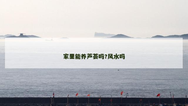 家里能养芦荟吗?风水吗