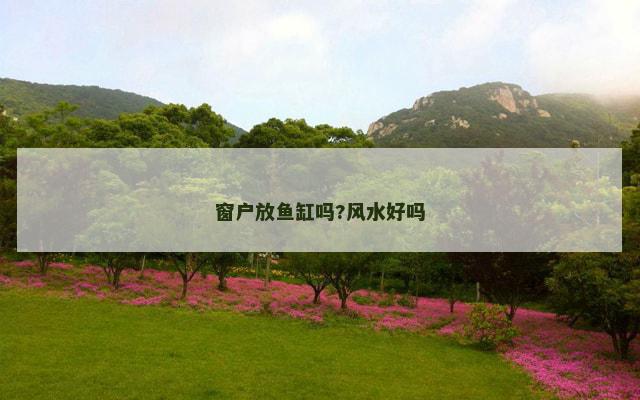窗户放鱼缸吗?风水好吗