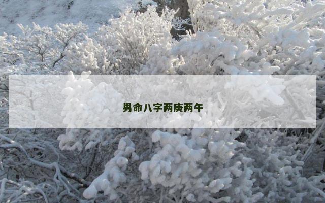 男命八字两庚两午