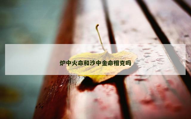 炉中火命和沙中金命相克吗