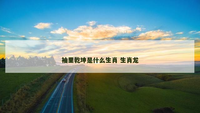 袖里乾坤是什么生肖 生肖龙