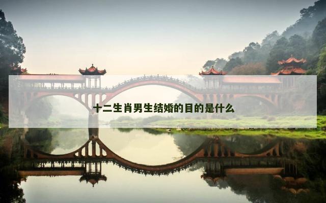 十二生肖男生结婚的目的是什么
