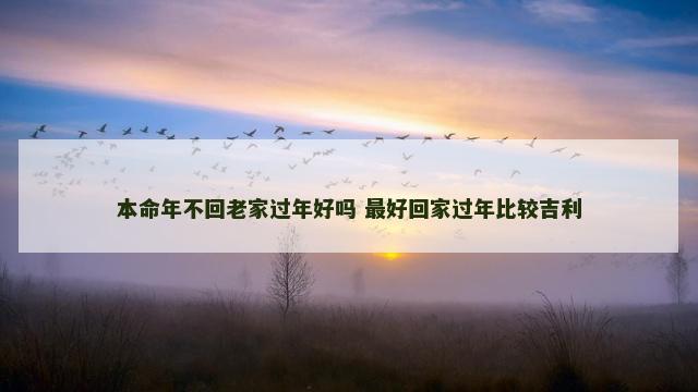 本命年不回老家过年好吗 最好回家过年比较吉利