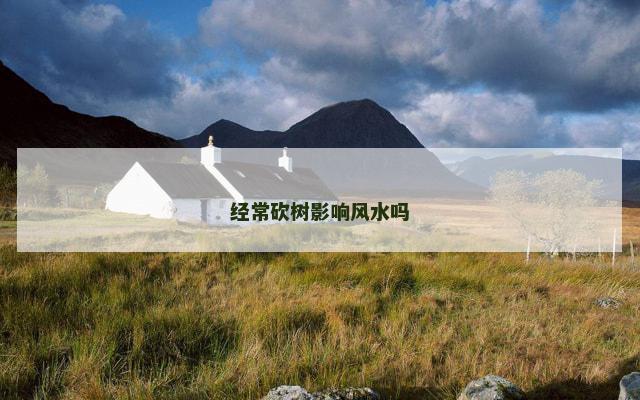 经常砍树影响风水吗