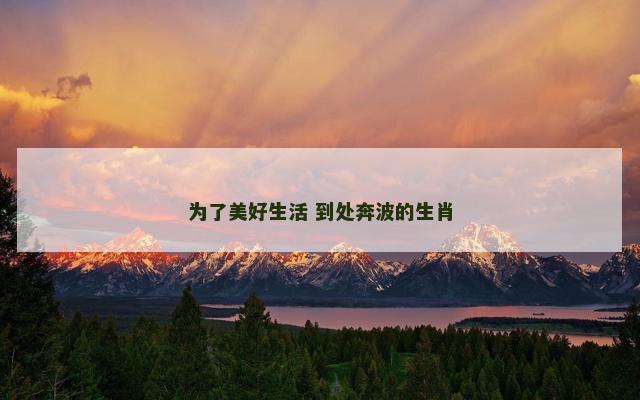 为了美好生活 到处奔波的生肖