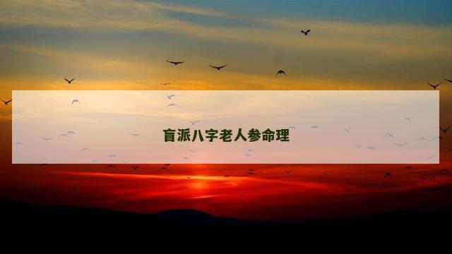 盲派八字老人参命理