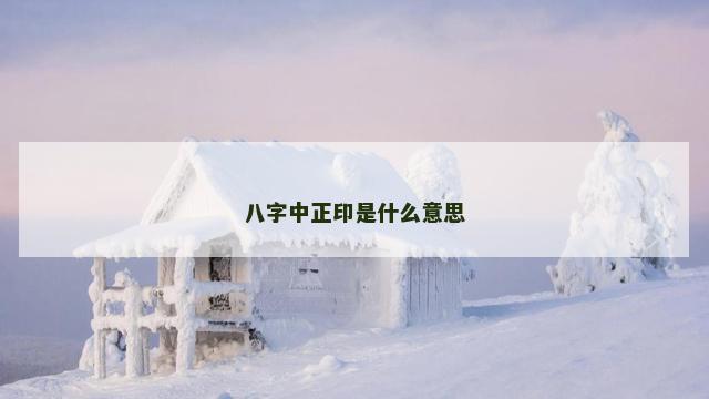 八字中正印是什么意思