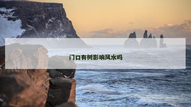 门口有树影响风水吗