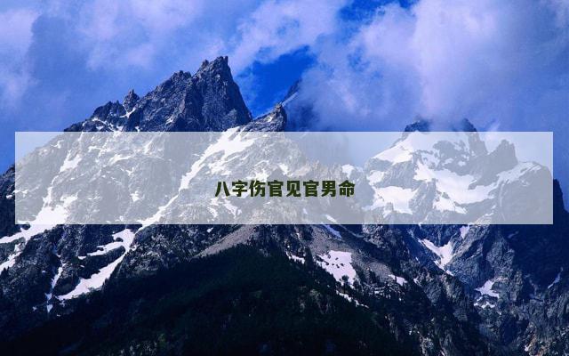 八字伤官见官男命