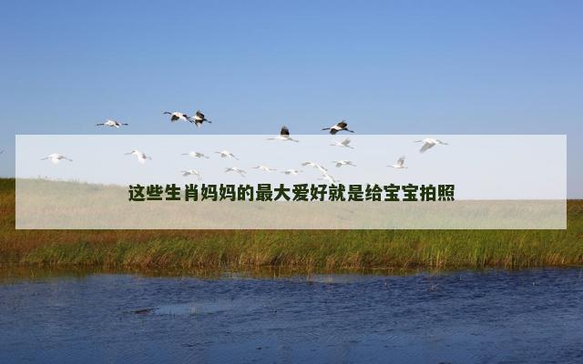 这些生肖妈妈的最大爱好就是给宝宝拍照