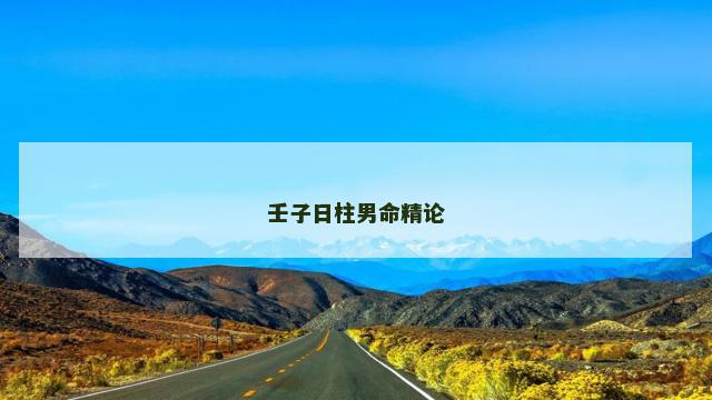 壬子日柱男命精论