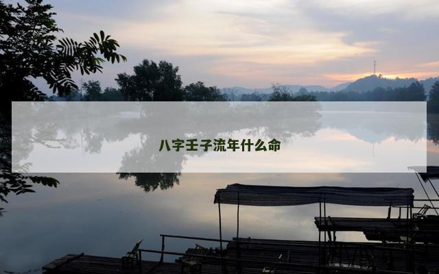 八字壬子流年什么命