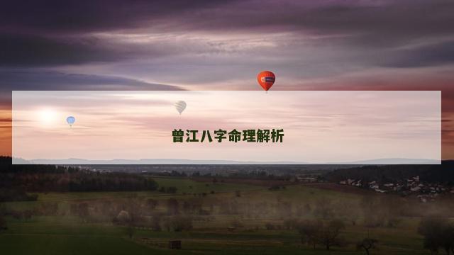 曾江八字命理解析