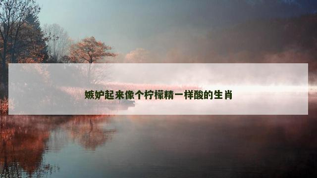 嫉妒起来像个柠檬精一样酸的生肖